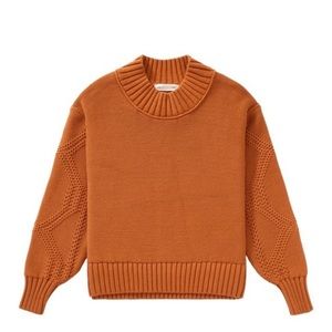 Everlane Cotton Texture Mock neck Sweater in Cider